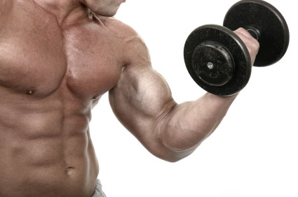 bicep curl basic