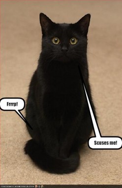 Humor - Beans, Beans the Magical...frrrp!