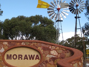 Come to Morawa WA when the wildflower season is here.