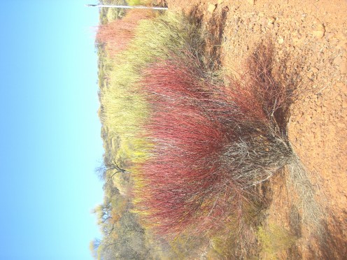 Enjoy the colours of the outback