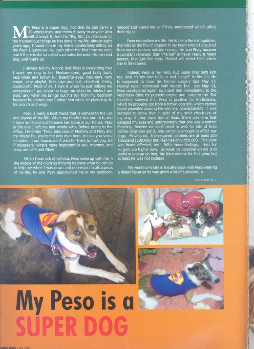 2nd article