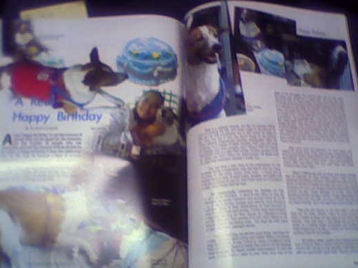 Birthday article of Peso and an update of his condition to