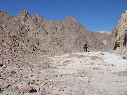 Rocky area in The Negev Desert Rocky area in The Negev Desert