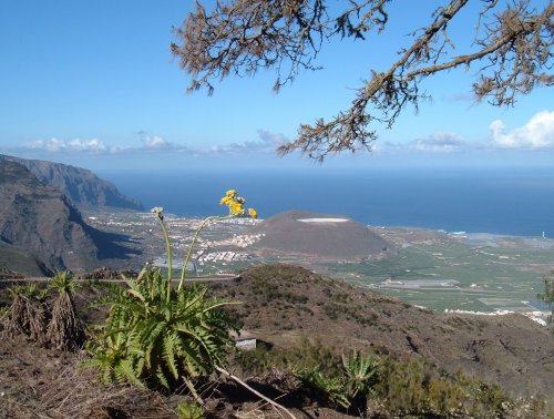 View from Tierra del Trigo
