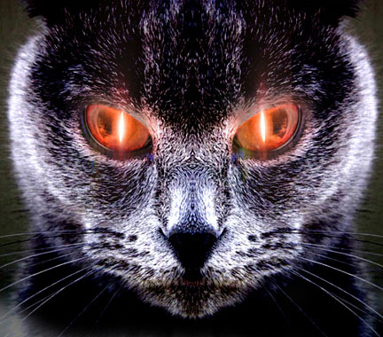 The domestic housecat possesses many of the qualities prized by the super villain. The domestic housecat possesses many of the qualities prized by the super villain.