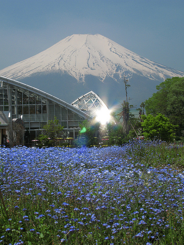 Mount Fuji, an active Stratovolcano in Japan