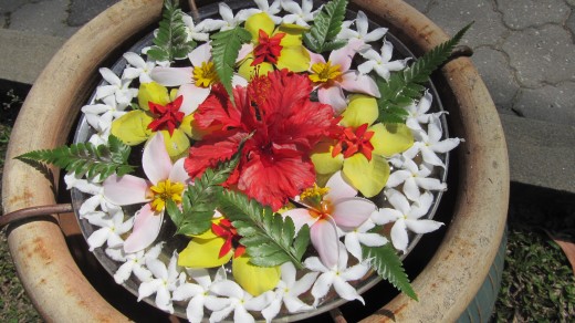 Pangkor Laut fresh flowers. Photo by Yean Xin