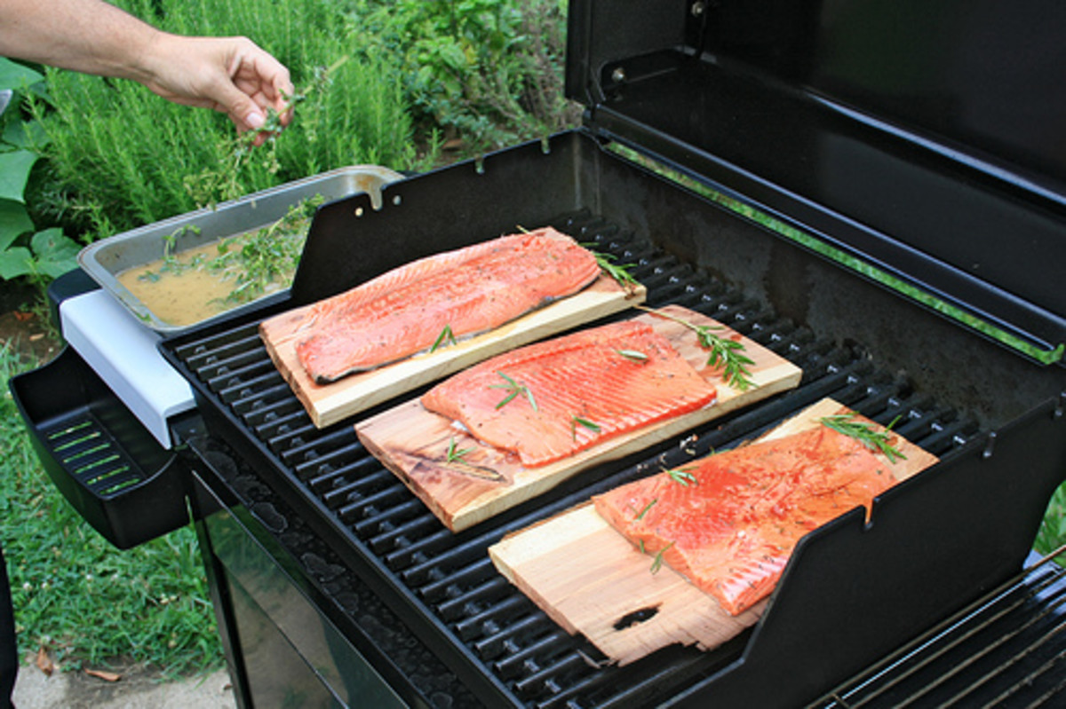 How to Prepare Fish: Blackened Fish, Cedar Plank Salmon, Salt Fish- 18 Ways to Cook Fish