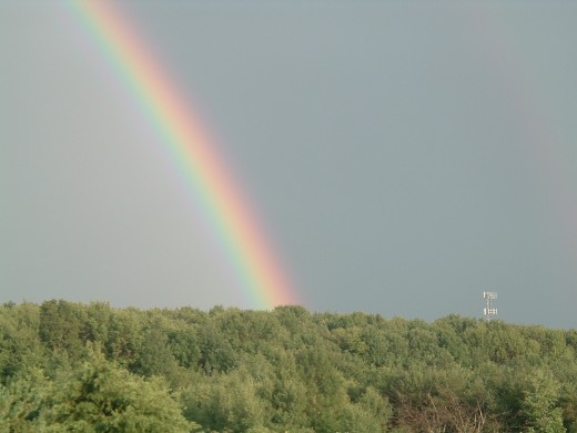 The Covenant of the Lord