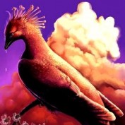 Nimenionphoenix profile image