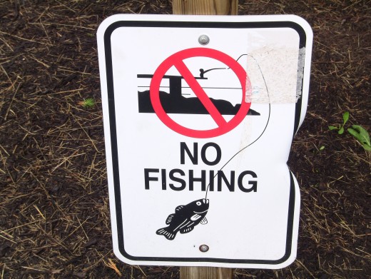 "No Fishing" sign near pool on Solid Rock Church grounds. Photo: Greg Reese 2010 Mom&Son