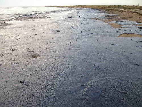 Oil spills in the ocean can "turn the water black" and kill off sea life.