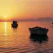 Peter_Thomas profile image