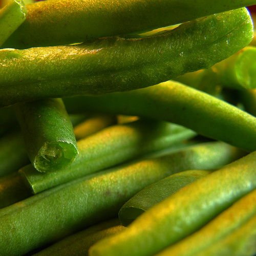 Canned green bean recipes will have to do photo: OliBac @flickr
