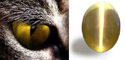 Like the name suggests, cat's eye chrysoberyl looks like an eye of a cat