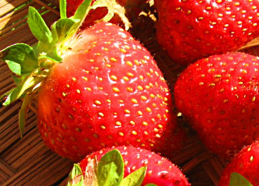 Fresh strawberries / Photo by E. A. Wright