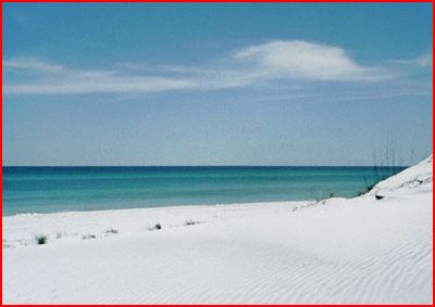 Look at this picture. Now close your eyes and imagine pools of stinking crude on this. Make you sick?