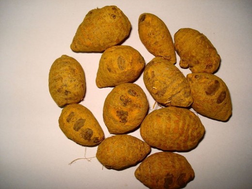Turmeric, often used in Indian cuisine