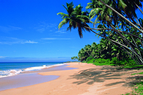 Sri Lanka Mirissa Beach