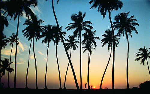 Sunset in Sri Lankan Beach