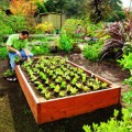 Constructing A Wooden Raised Bed Garden