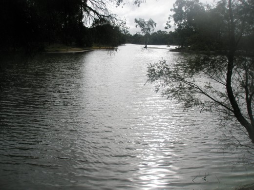 The excitment of action needs the stillness of reflection.