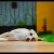 http://www.flickr.com/photos/liknes/4273541461/ http://www.flickr.com/photos/liknes/4273541461/