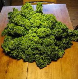 Kale, one of the great additions to Ugali, and raises the nutritional value.