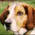 http://www.flickr.com/photos/devu2003/171833563/ http://www.flickr.com/photos/devu2003/171833563/