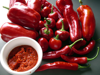 Harissa
