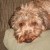 http://www.flickr.com/photos/78428166@N00/4592877145/ http://www.flickr.com/photos/78428166@N00/4592877145/