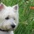 http://www.flickr.com/photos/richard_collinson/2054657103/ http://www.flickr.com/photos/richard_collinson/2054657103/