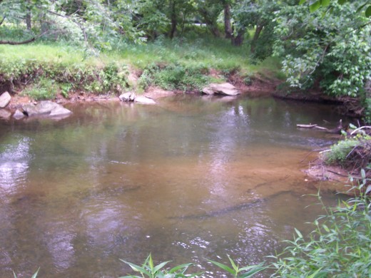 part of the sceneca creek trout stream, riffle ford rd., darnestown/germantown, md