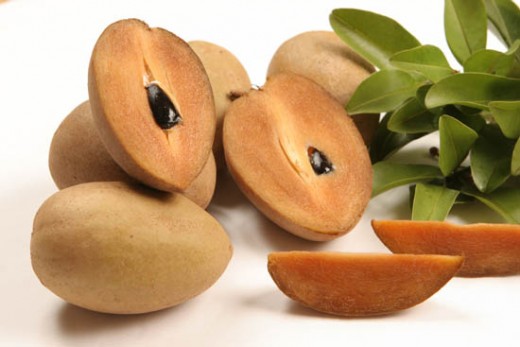 The Sapodilla is a favored fruit in the Caribbean