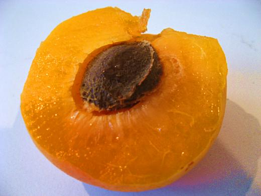 Half an apricot / Photo by E. A. Wright