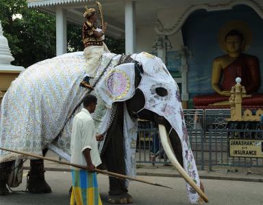 Elephant ride at Sri Lanka
