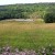 Reclaimed area after installation of a natural gas well in Chemung County, NY. (DEC.NY.gov) Reclaimed area after installation of a natural gas well in Chemung County, NY. (DEC.NY.gov)