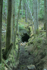 Hiking in East Sooke Park outside of Victoria, BC. This abandoned coal mine is on the Coppermine Trail.