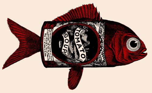 There is some truth that tomato genes have been spliced into fish.