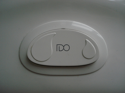 Low flush toilet button.