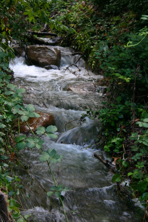 Roadside Creek