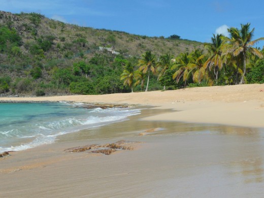 Fancy walking this beach in the nude?