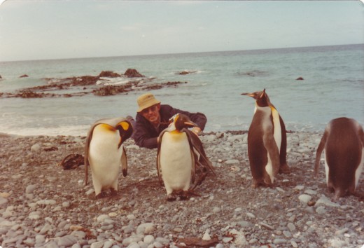Friendly littler critters. If you get down low they think you're a penguin too Friendly littler critters. If you get down low they think you're a penguin too
