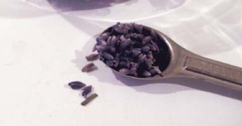 The recipe calls for a tablespoon of culinary lavender / Photo by E. A. Wright