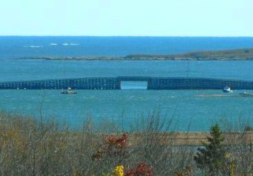 The view from Cooks Point including the bridge and open ocean beyond.