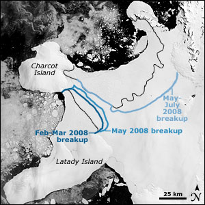 In 2008, the Wilkins Ice shelf in Antarctica collapsed and was released into the sea.