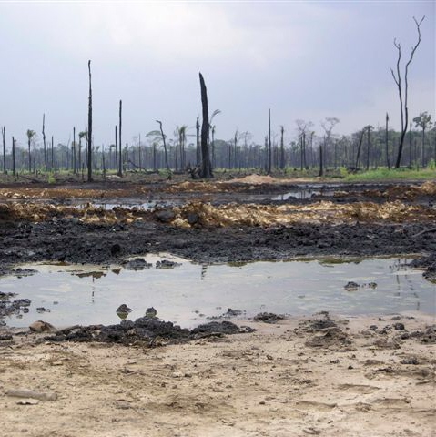 The Shell oil spill in Nigeria has been ongoing for the last 50 years ruining jungle, agricultural land and waterways. Hundreds of millions of gallons of oil have spilled and continue to spill. This has been kept out of the public eye and anyone who 