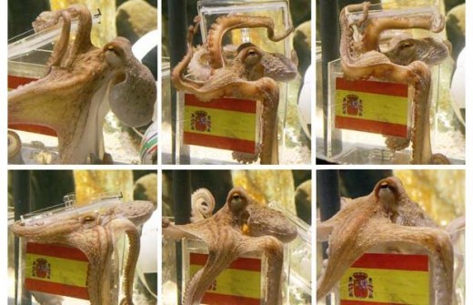 Pictures taken by photographer for Reuters