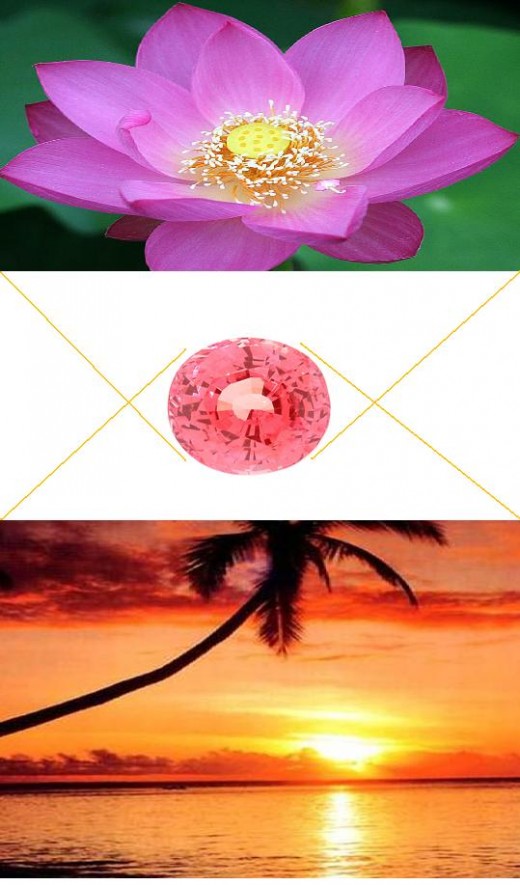 A blend of lotus and sunset