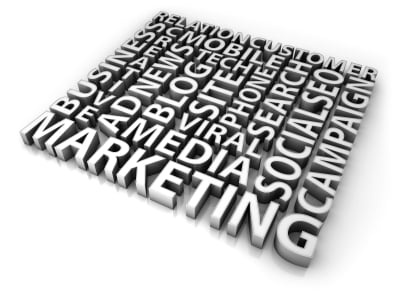 Small Business SEO